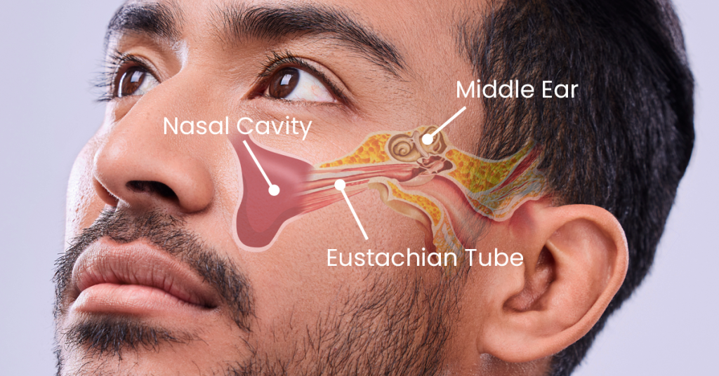 image - Dr. Manasi Mehra